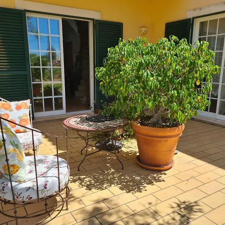 לינה וארוחת בוקר Casa Dos Ventos