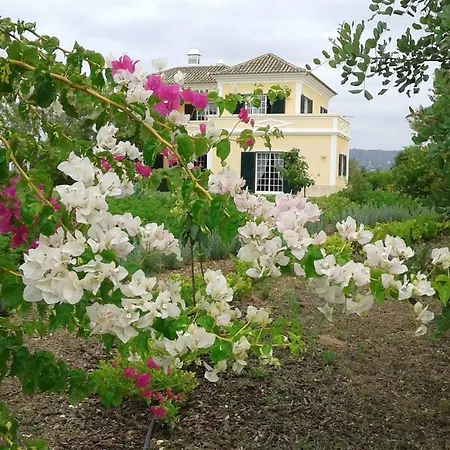 فندق مبيت وإفطار Casa Dos Ventos