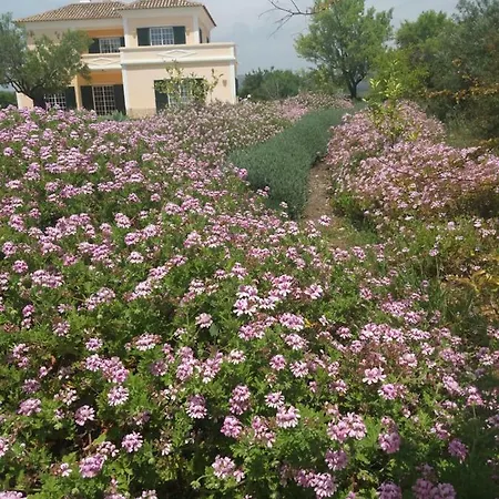 Bed & Breakfast Casa Dos Ventos Olhao